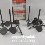 سوپاپ دود وبنزین بیوایدی