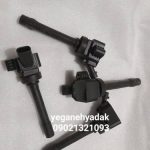 کوئل دیگنیتی پرایم