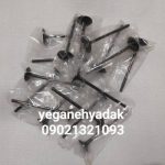 سوپاپ دود وبنزین دیگنیتی پرایم